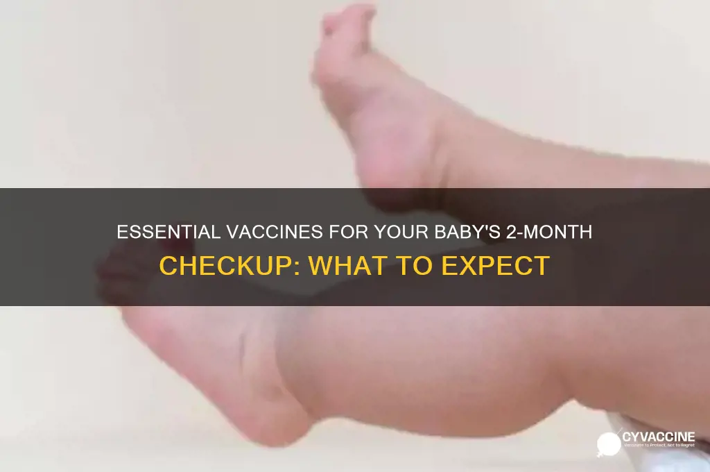 what vaccines are at a babys 2 month appointment