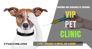 Vaccines Offered at Soldan's VIP Pet Clinic: Protect Your Pet
