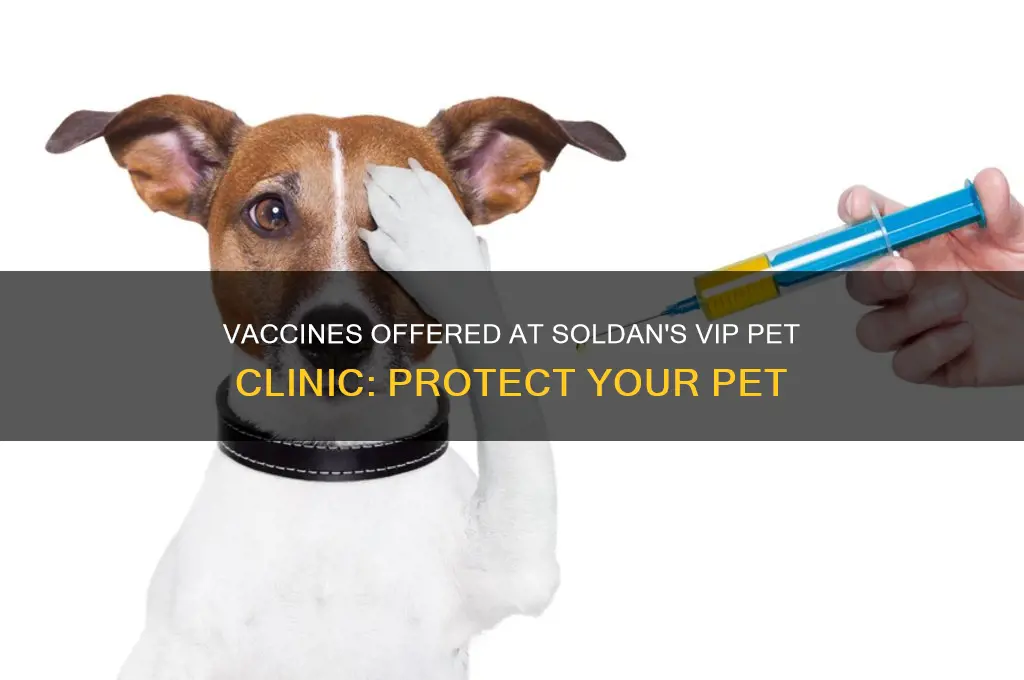 what vaccines are available at soldans vip pet clinic
