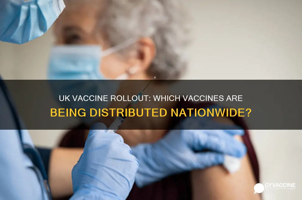 what vaccines are being distributed in the uk