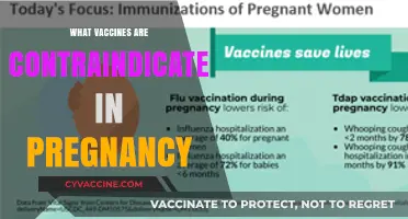 Vaccines and Pregnancy: Which Shots Are Unsafe for Expecting Moms?