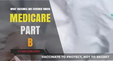 Medicare Part B Vaccines: Coverage and Benefits Explained