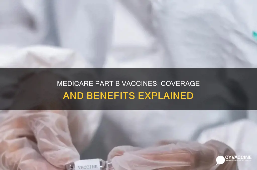 what vaccines are covered under medicare part b