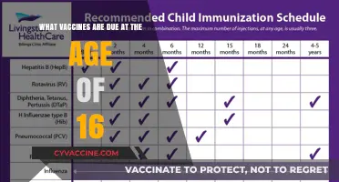 Essential Vaccines for 16-Year-Olds: Protecting Teens' Health and Well-Being