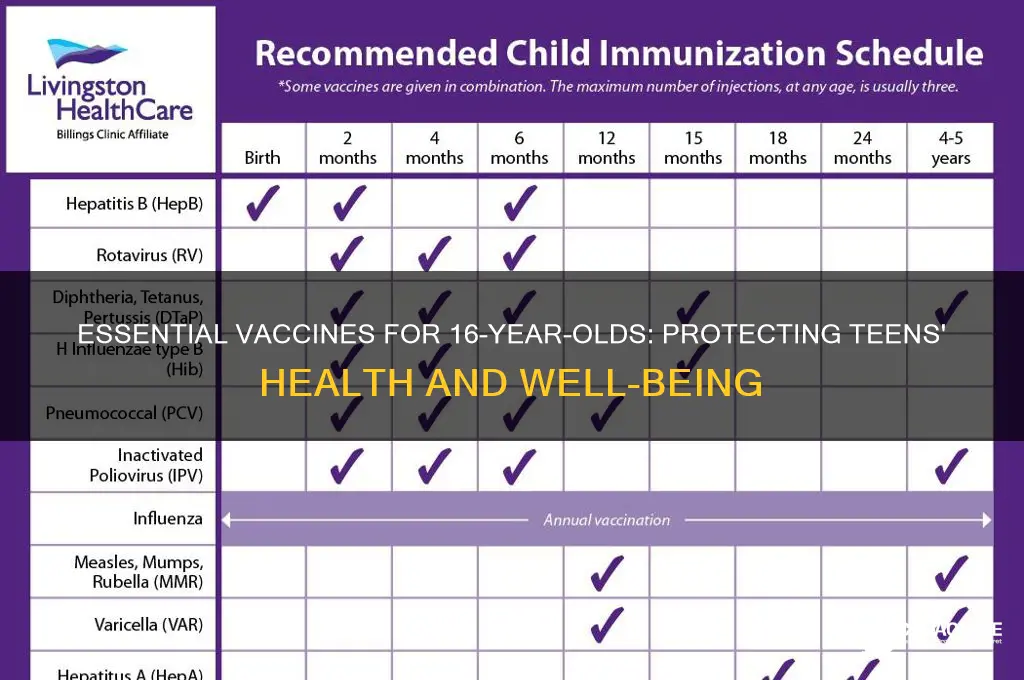 what vaccines are due at the age of 16