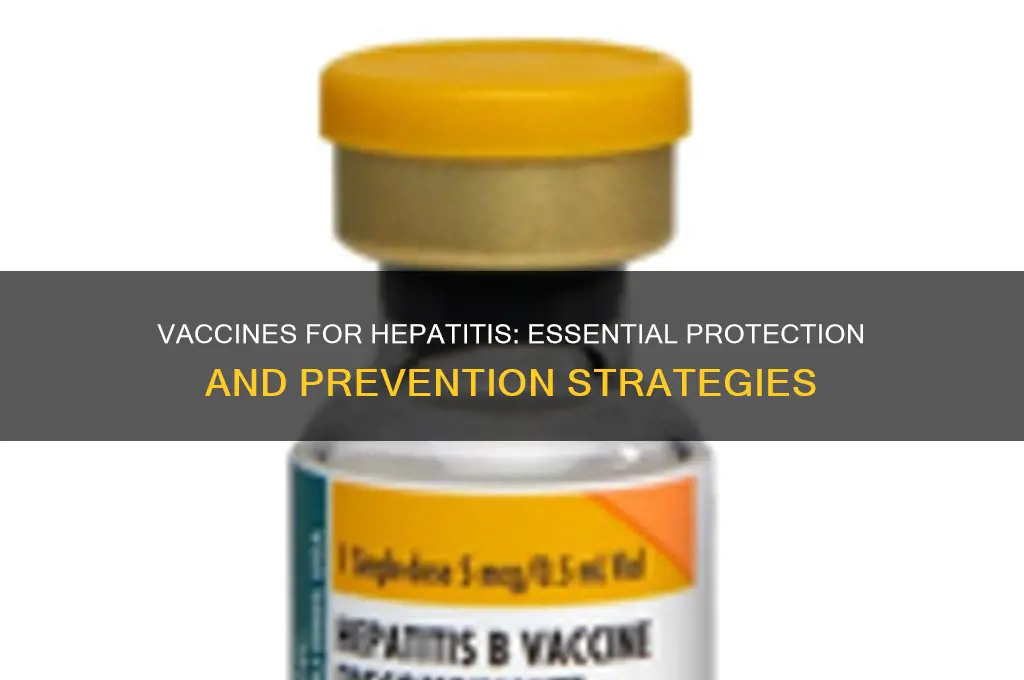 what vaccines are for when you have hepatit