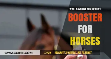 Understanding the Essential Vaccines in the WET Booster for Horses