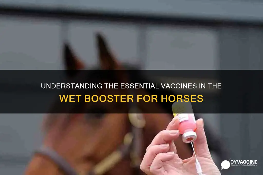 what vaccines are in wewt booster for horses