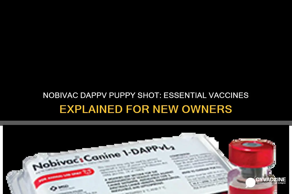 what vaccines are included in the nobivac dappv puppy shot