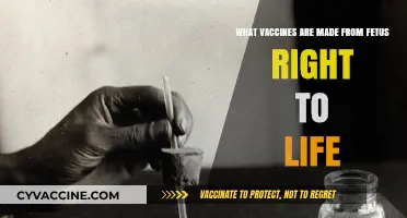 Fetal Tissue in Vaccines: Ethical Concerns and the Right to Life