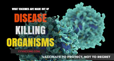 Vaccines: How Disease-Causing Organisms Save Lives Safely
