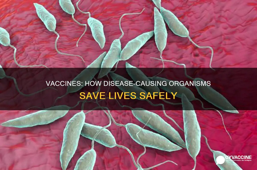 what vaccines are made out of disease killing organisms