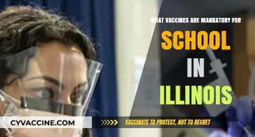 Illinois School Vaccination Requirements: Essential Shots for Students