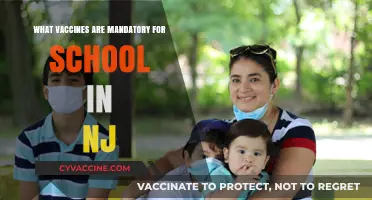 NJ School Vaccine Requirements: Essential Immunizations for Students