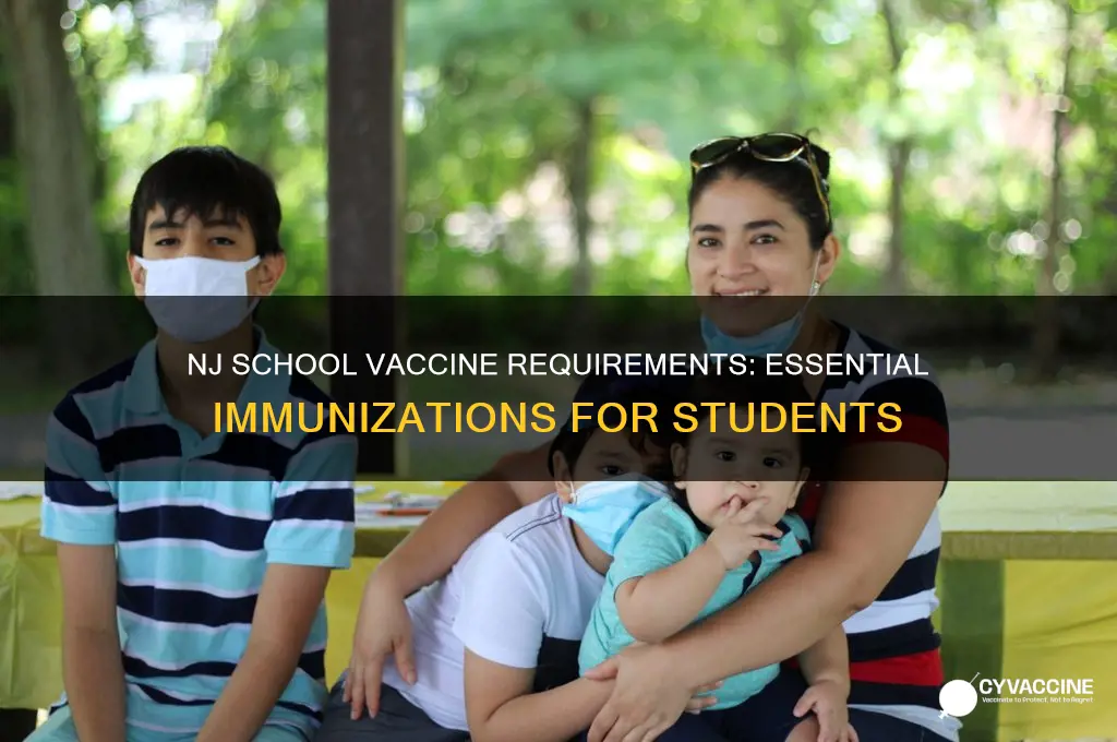 what vaccines are mandatory for school in nj
