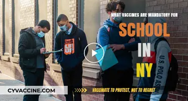 Mandatory Vaccines for New York Schools: What You Need