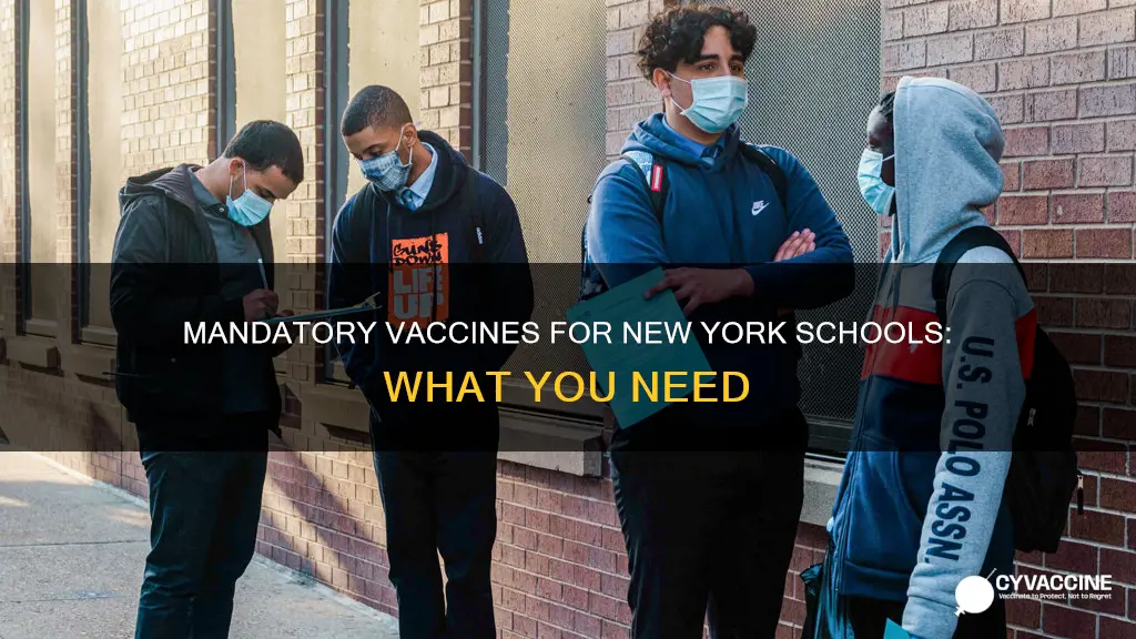 what vaccines are mandatory for school in ny
