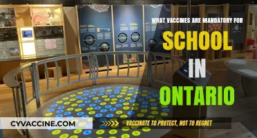 Ontario School Vaccination Requirements: Essential Immunizations for Students