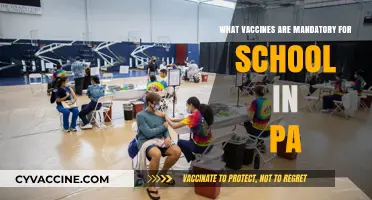 Pennsylvania School Vaccination Requirements: Essential Immunizations for Students