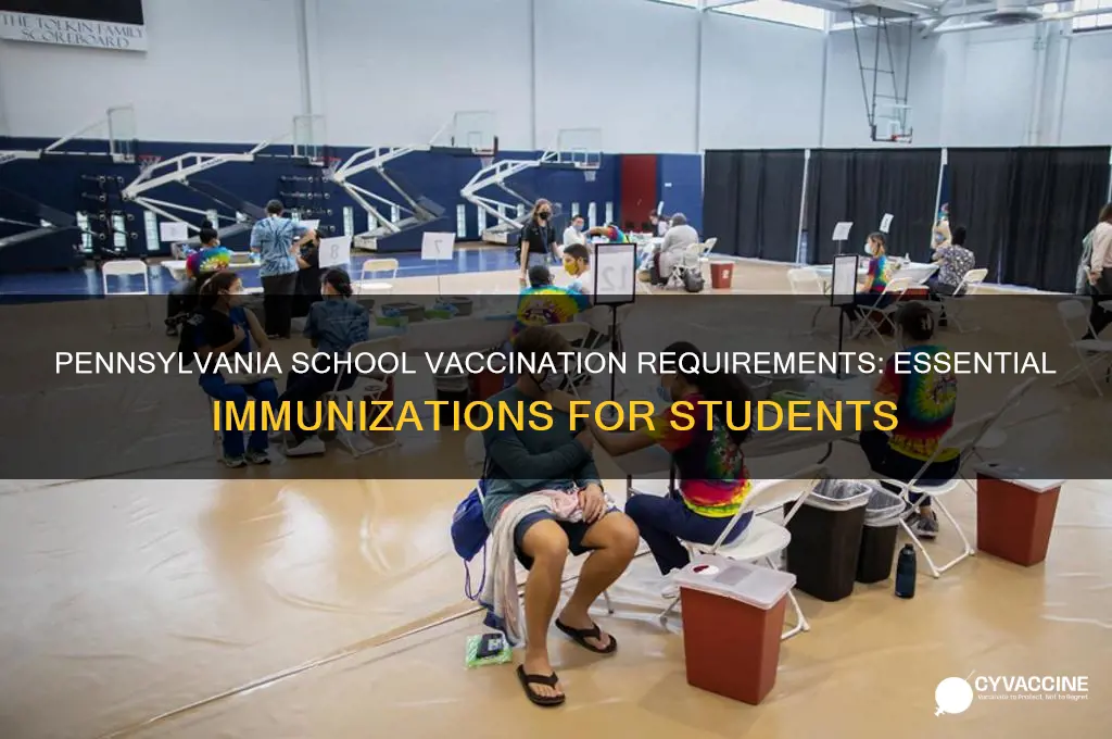 what vaccines are mandatory for school in pa