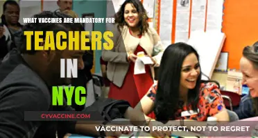NYC Teacher Vaccine Requirements: Mandatory Immunizations for Educators Explained