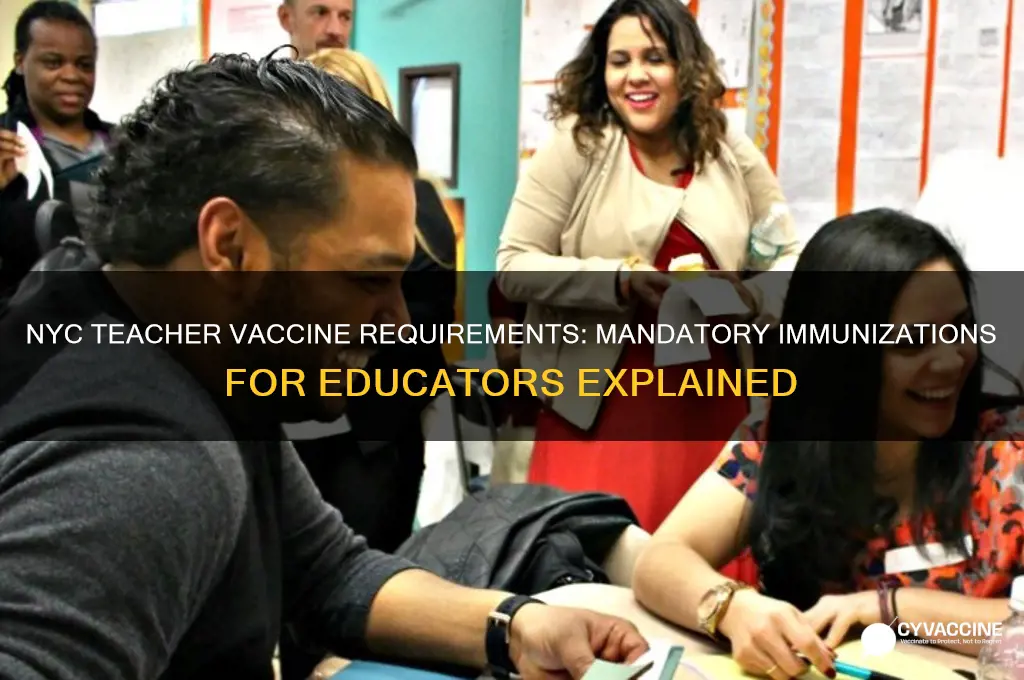 what vaccines are mandatory for teachers in nyc