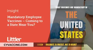 Essential Vaccines: Mandatory Immunizations Required in the United States