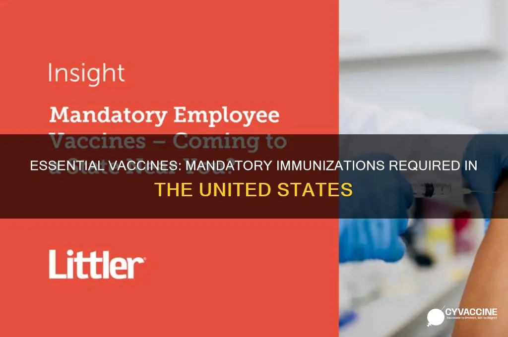 what vaccines are mandatory in the united states