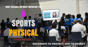 Essential Vaccines for Athletes: Sports Physical Prep Guide