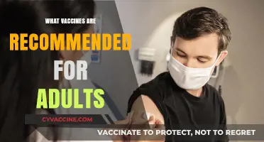 Essential Adult Vaccines: Protecting Health Across All Ages