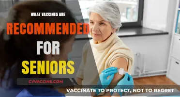 Essential Vaccines for Seniors: Protecting Health in Golden Years