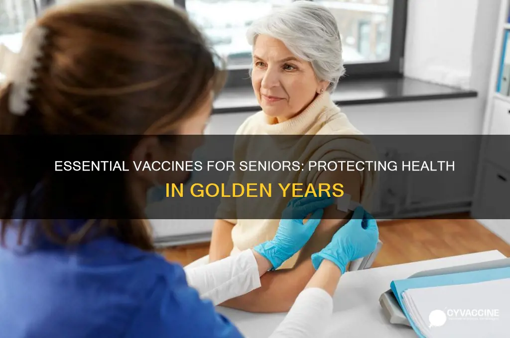what vaccines are recommended for seniors