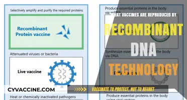 Recombinant DNA Technology: Revolutionizing Vaccine Production for Modern Medicine