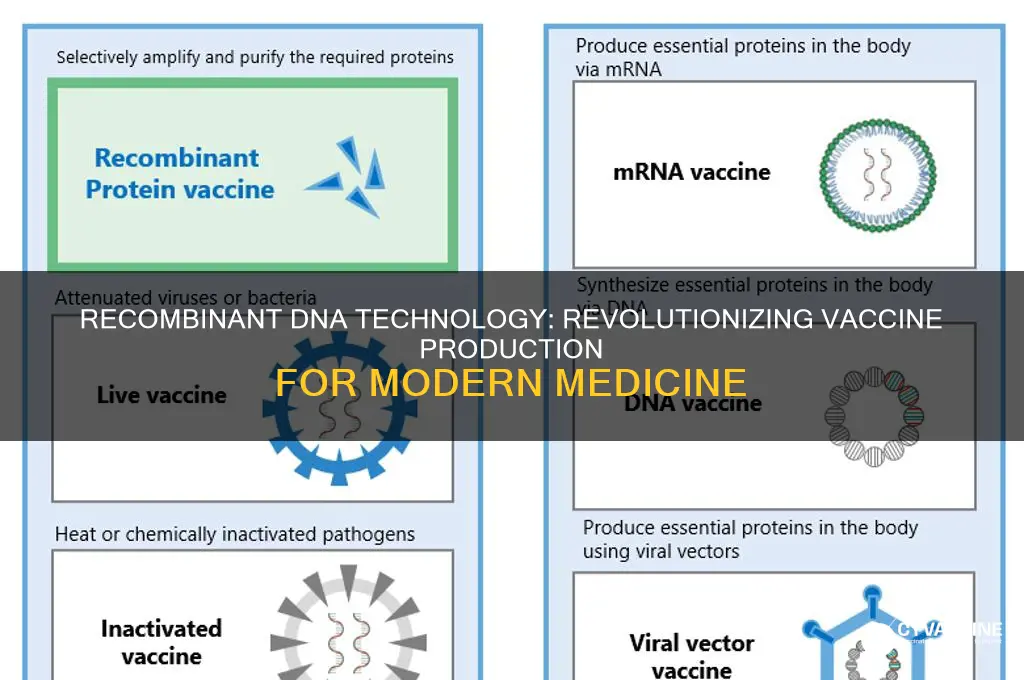 what vaccines are reproduced by recombinant dna technology