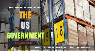 US Government's Vaccine Stockpile: Preparedness and Public Health Strategy