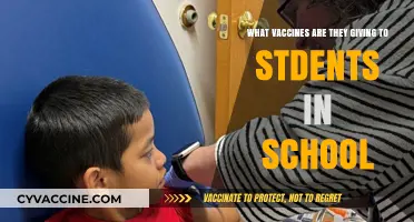 School Vaccination Programs: What Shots Are Students Receiving?