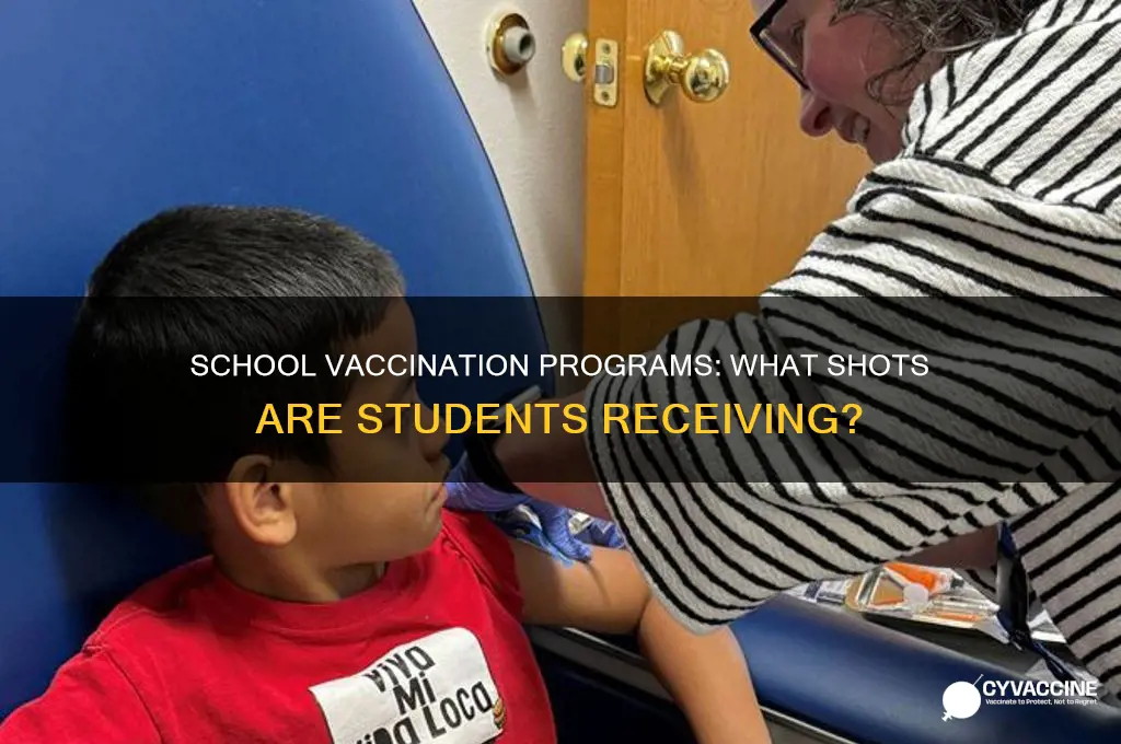 what vaccines are they giving to stdents in school