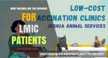 High Vaccine Costs: A Barrier to Global Health Equity in LMICs