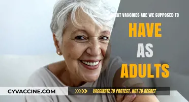 Essential Adult Vaccines: A Comprehensive Guide to Staying Protected