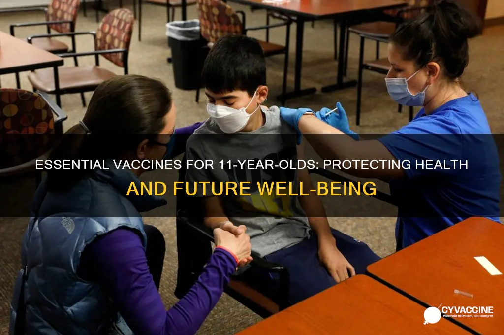 what vaccines are you due for at 11