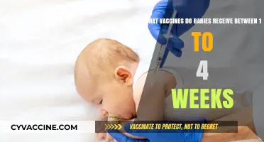 Essential Baby Vaccines: A Guide to Shots in the First Month