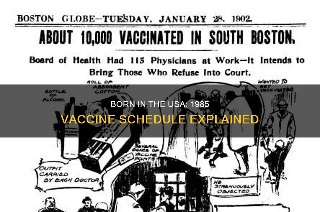 what vaccines do i have usa born 1985