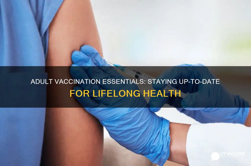 what vaccines do i keep up with as an adult