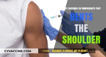 Essential Vaccines for Immigrants: Shoulder-Related Health and Prevention Tips