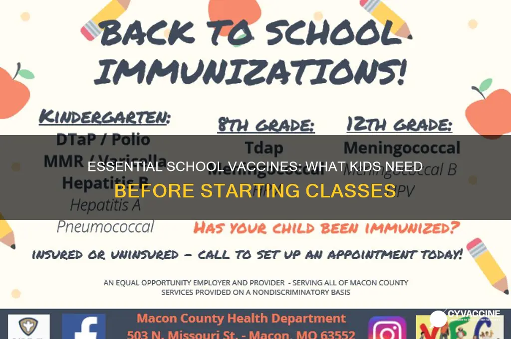 what vaccines do kids have to have for school