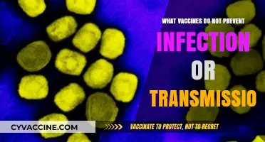 Vaccines and Their Limits: Understanding Infection and Transmission Risks