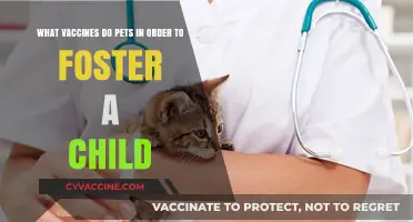 Pet Vaccines for Child Safety: Essential Shots for Foster Homes