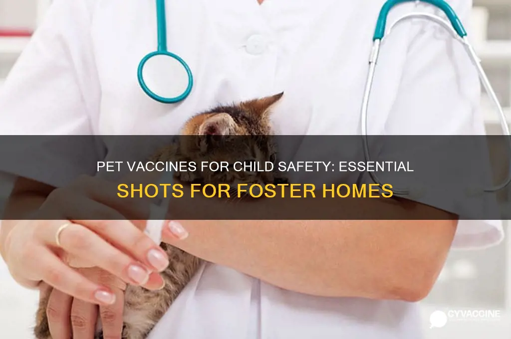 what vaccines do pets in order to foster a child
