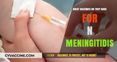 Understanding N. Meningitidis Vaccines: Types, Availability, and Protection