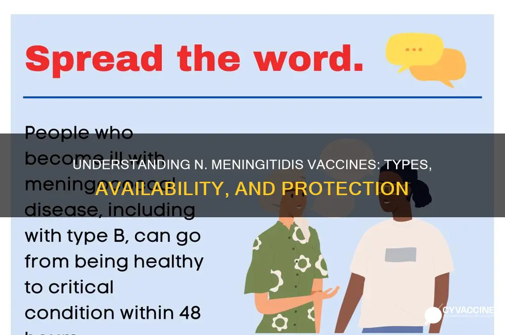 what vaccines do they have for n meningitidis